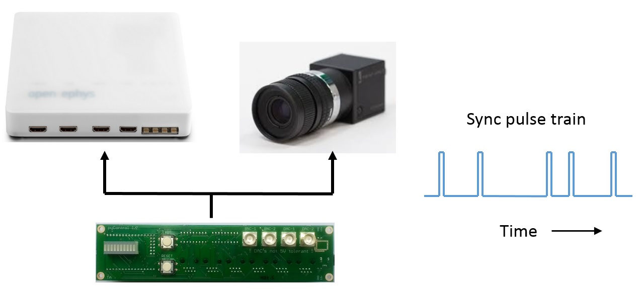 sync diagram